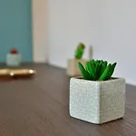 Le 44 - T2 Renove Moderne Et Confortable En Centre-ville 蒙吕松